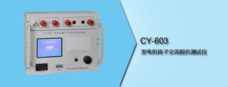 CY-603 發(fā)電機(jī)轉(zhuǎn)子交流阻抗測試儀